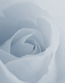 Profilbild Rosa Steiner